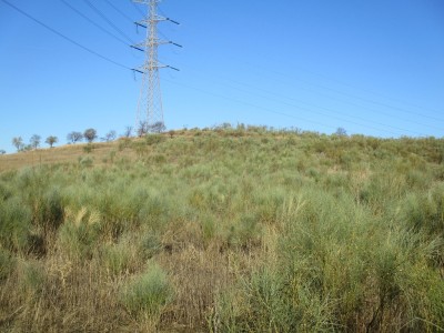 Hijosa, Cerro (688 m)