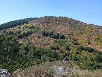 Monte do Covelo (1057 m)