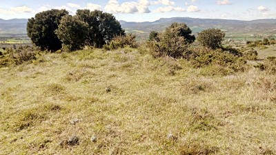 La Cruz (735 m)