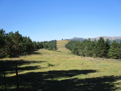 Hoyos de Muriel, Altos de los (1876 m)
