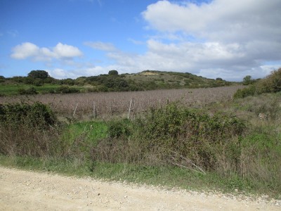 Muga de Oteiza (435 m)