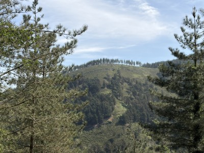 Mandoikobizkarra (569 m)