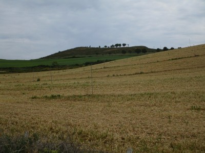 Almara (478 m)