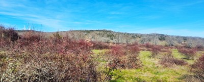 Santa Cruz S, Peña de (1144 m)