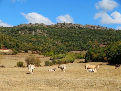 Peñas Negras (1295 m)