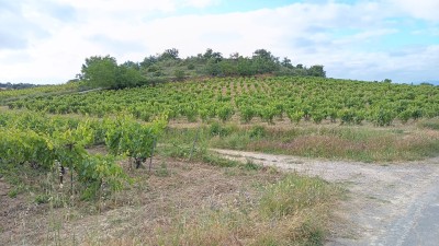 Cuevas, Las (584 m)