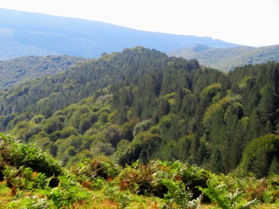 Indusi (936 m)