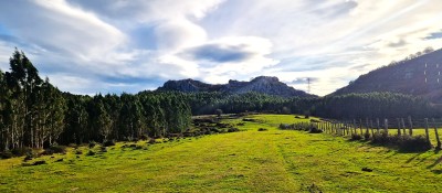 Negrera W, Pico (690 m)