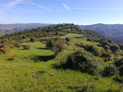 Burdisancho, Alto de (1166 m)