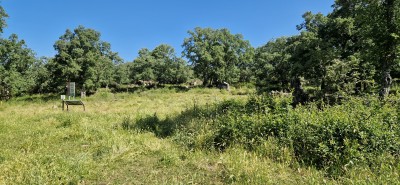 Tonda, Monte de (1135 m)
