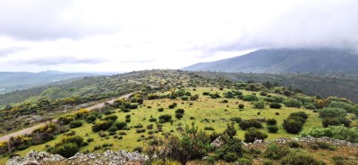Las Víboras, Peña de (1245 m)