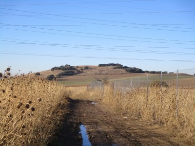 Cabritos, Cerro de los (686 m)