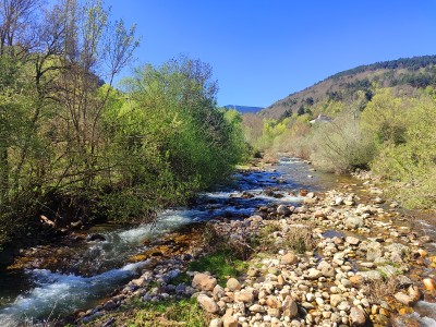 Morralla, Cerro de la (1348 m)