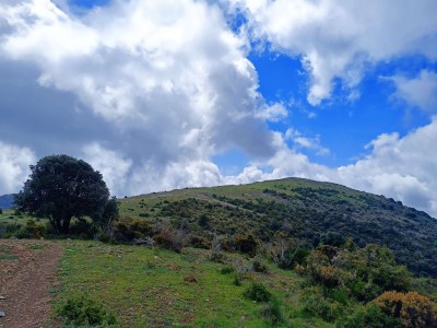El Sui (1319 m)