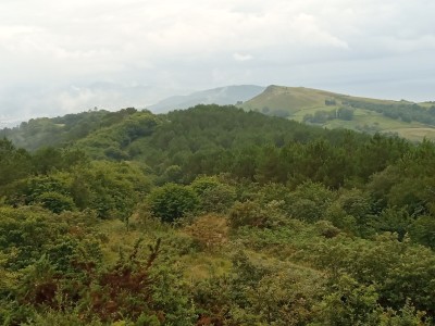 Zaskuna (332 m)
