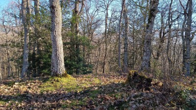 Alto Asalote (669 m)