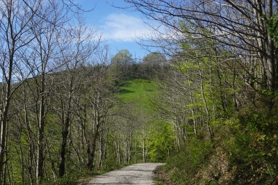 Txarloten kaskoa (795 m)