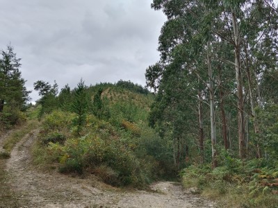 Munatxoko Punta (202 m)