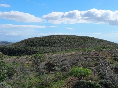 Alto del Burro (678 m)