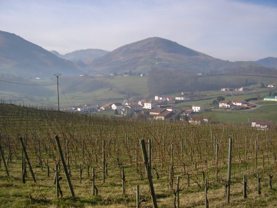 Kapera (241 m)