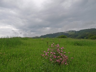 Txoritokieta (343 m)