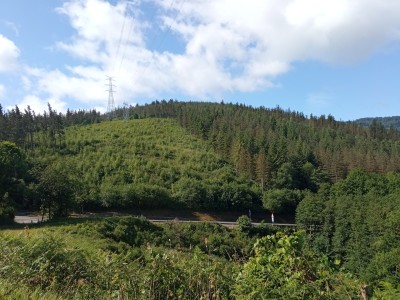Kurutzeagagaña (655 m)