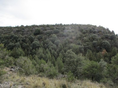Pedriza, La (1024 m)