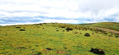 Peña del Gallo (1308 m)