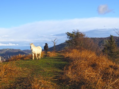 Artegietako Zabala (540 m)