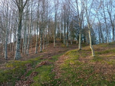 Erlearen Parada (377 m)