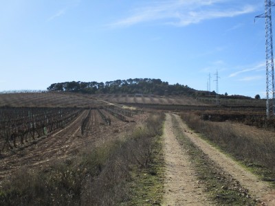 Muerza, Alto de (441 m)