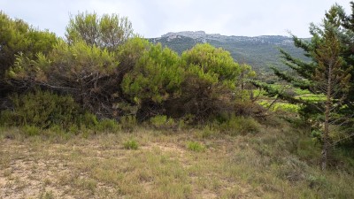 Mochuelo, El (599 m)