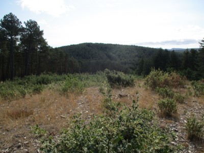 Rompealbarcas, Alto (1159 m)