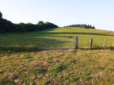Urdanpilletamendi (730 m)