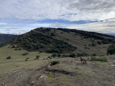Urkimaitu, Alto de (880 m)