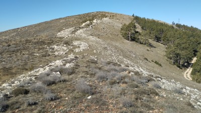 Cabezo Pardo (1594 m)