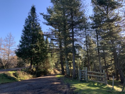 Campazos, Los (686 m)