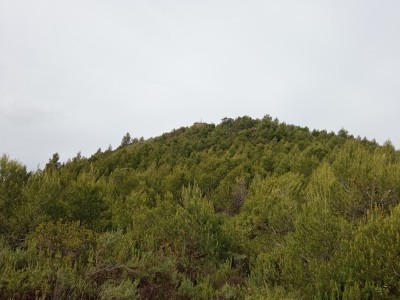 Rosel (562 m)