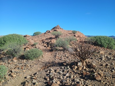 Toscón de Hoya Quemada (259 m)