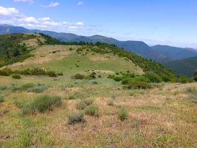 Acebillo, Cabeza del (1406 m)