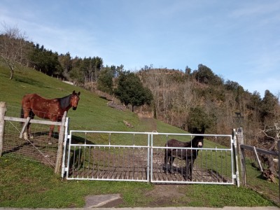 Artadigañe (379 m)