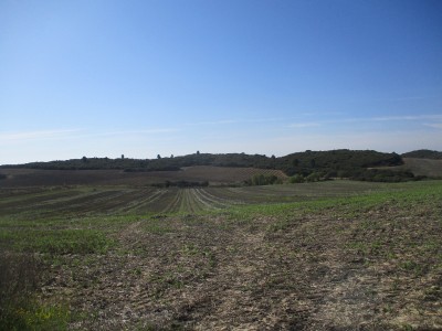 Falconera, La (435 m)