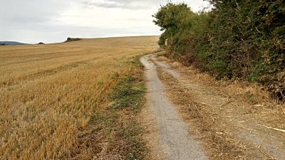 San Pelaio (569 m)