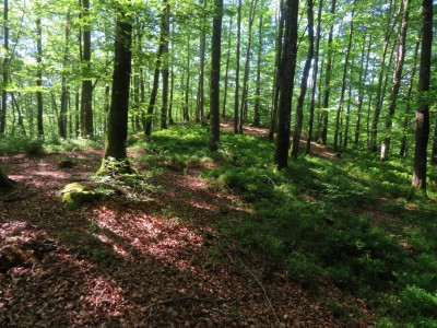 Txabolerre (712 m)