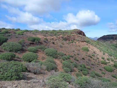 Montañeta de la Cruz (413 m)