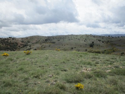 Cobollo, El (1341 m)