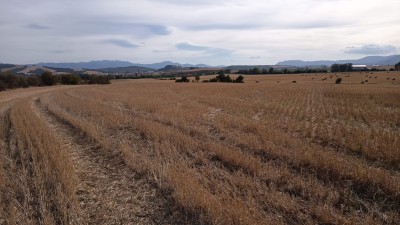 Ardanza (584 m)