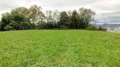 Munto (128 m)