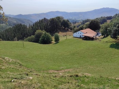 Beliosorobekoa (346 m)