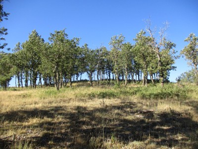 Ontalvilla, Peñas de (1171 m)
